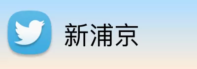 新浦京 Logo